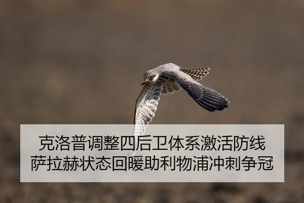 ke-luo-pu-tiao-zheng-si-hou-wei-ti-xi-ji-huo-fang-xian-sa-la-he-zhuang-tai-hui-nuan-zhu-li-wu-pu-chong-ci-zheng-guan-2-164.jpg