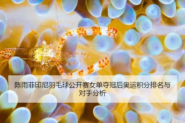 chen-yu-fei-yin-ni-yu-mao-qiu-gong-kai-sai-nv-dan-duo-guan-hou-ao-yun-ji-fen-pai-ming-yu-dui-shou-fen-xi-3-146.jpg